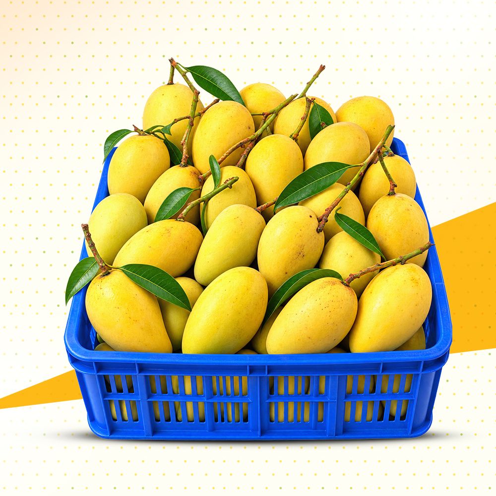 সুমিষ্ট কাটিমন আম (৬ কেজি প্রিমিয়াম প্যাকেজ)